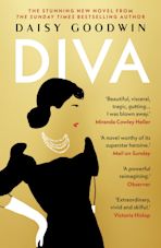 Diva cover