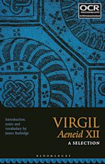 Virgil Aeneid XII: A Selection cover