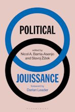 Political Jouissance cover