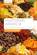 Mastering Arabic 2 cover