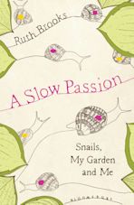 A Slow Passion cover