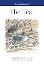 The Teal cover