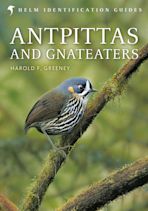 Antpittas and Gnateaters cover