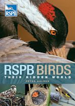 RSPB Birds: Their Hidden World cover