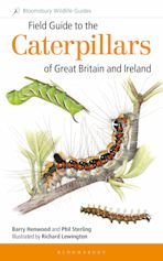 Field Guide to the Caterpillars of Great Britain and Ireland cover