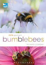 RSPB Spotlight Bumblebees cover