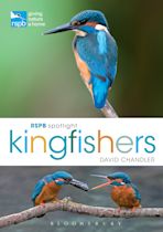 RSPB Spotlight Kingfishers cover