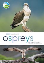 RSPB Spotlight Ospreys cover