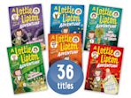 Lottie Lipton Class Pack of 36 Brown cover