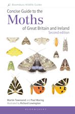 Concise Guide to the Moths of Great Britain and Ireland: Second edition cover