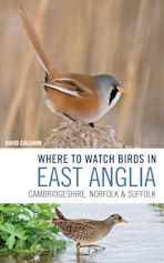 Where to Watch Birds in East Anglia cover