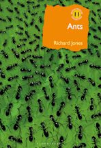 Ants cover