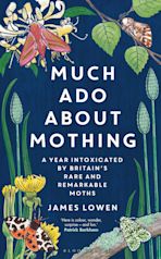 Much Ado About Mothing cover