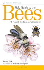 Field Guide to the Bees of Great Britain and Ireland cover