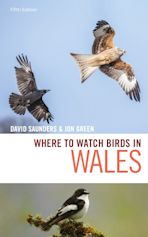 Where to Watch Birds in Wales cover