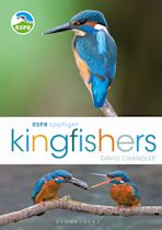 RSPB Spotlight Kingfishers cover