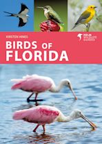 Birds of Florida cover