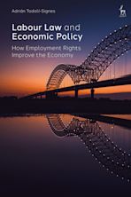 Labour Law and Economic Policy cover