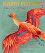 The Art and Making of Hogwarts Legacy: Exploring the Unwritten Wizarding  World: Warner Bros: 9781526659910: : Books