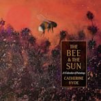 The Bee and the Sun cover