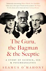 The Guru, the Bagman and the Sceptic cover