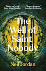 The Well of Saint Nobody cover