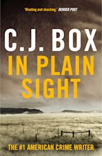 In Plain Sight cover