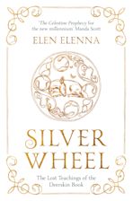 Silver Wheel cover