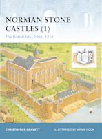 Norman Stone Castles (1) cover