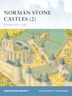 Norman Stone Castles (2) cover
