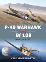 P-40 Warhawk vs Bf 109 cover