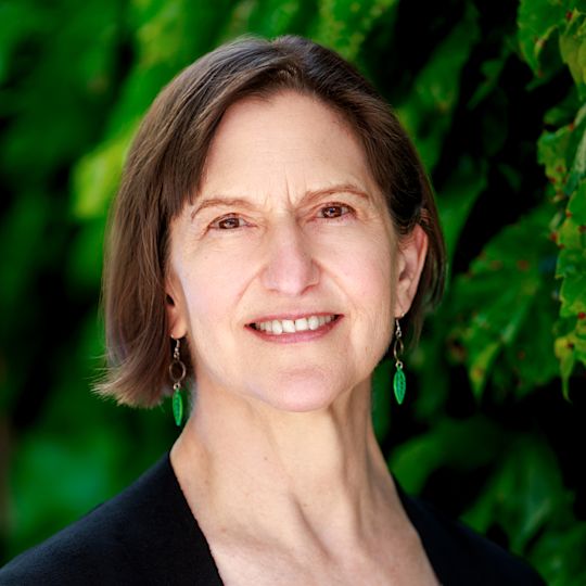 Shari Stone-Mediatore photo