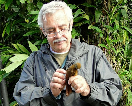 Miguel Lentino photo