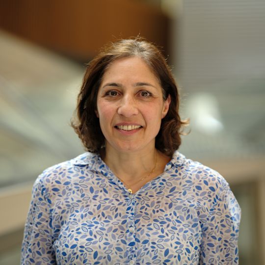 Arezou Azad photo