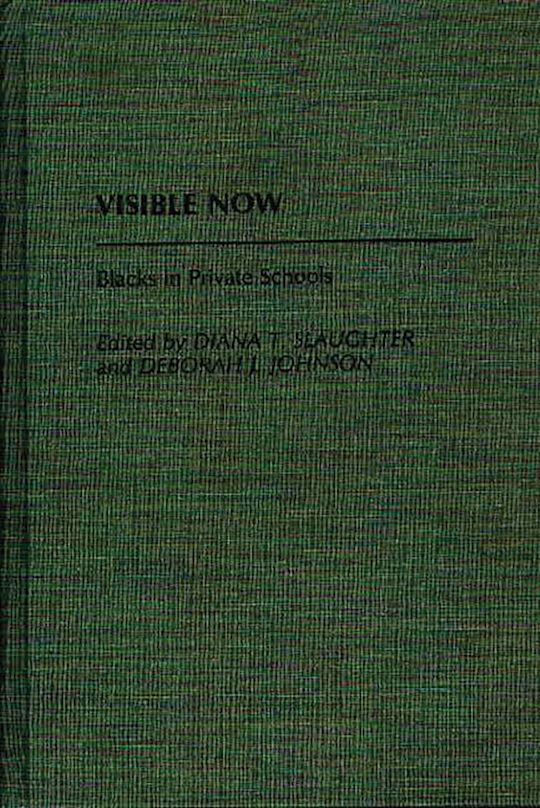 Visible Now cover