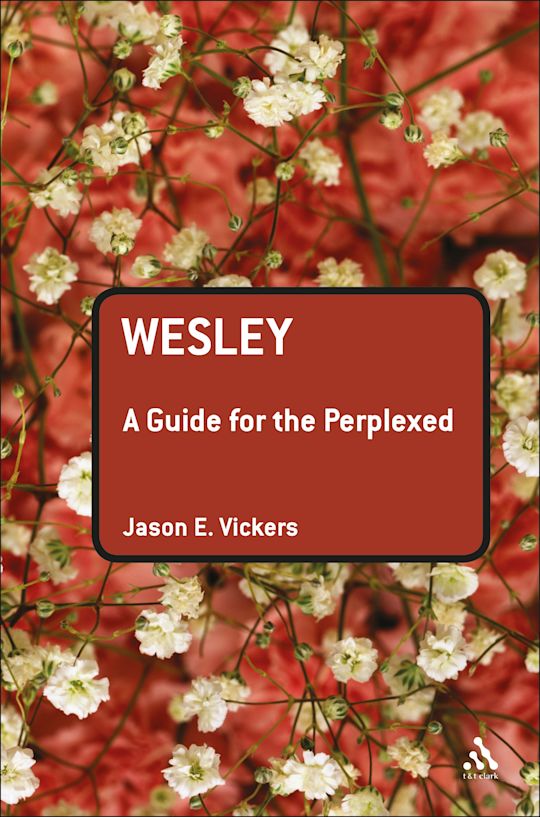 Wesley: A Guide for the Perplexed cover