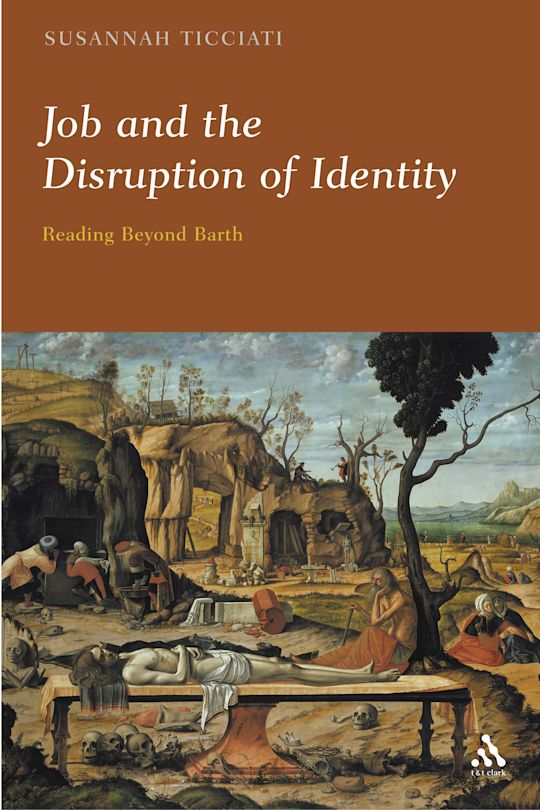Job and the Disruption of Identity cover