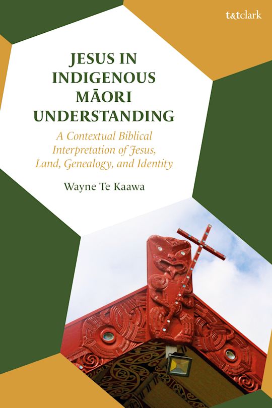 Jesus in Indigenous Maori Understanding cover