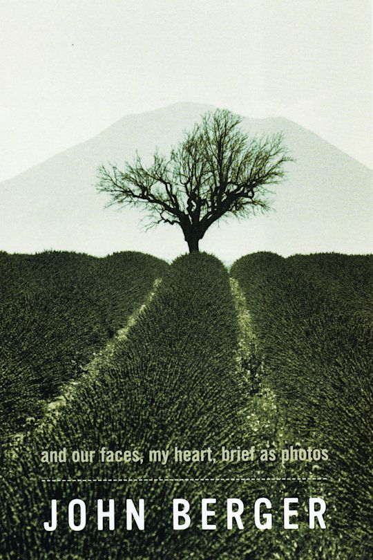 And Our Faces, My Heart, Brief As Photos cover
