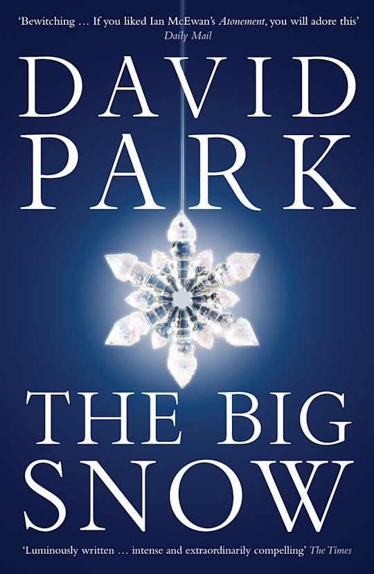 The Big Snow cover