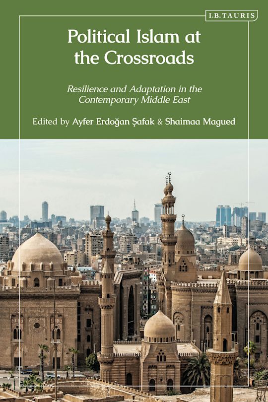 Political Islam at the Crossroads cover