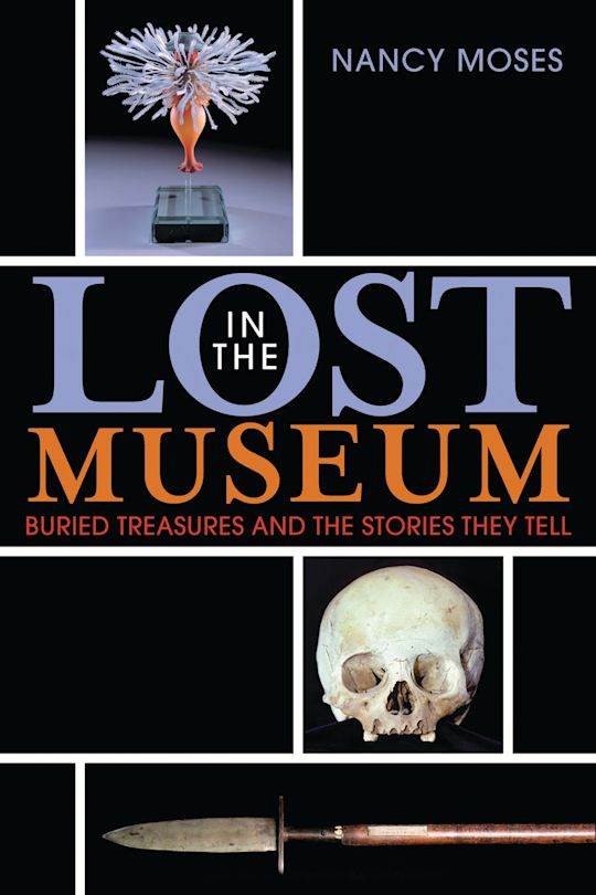 Lost in the Museum cover