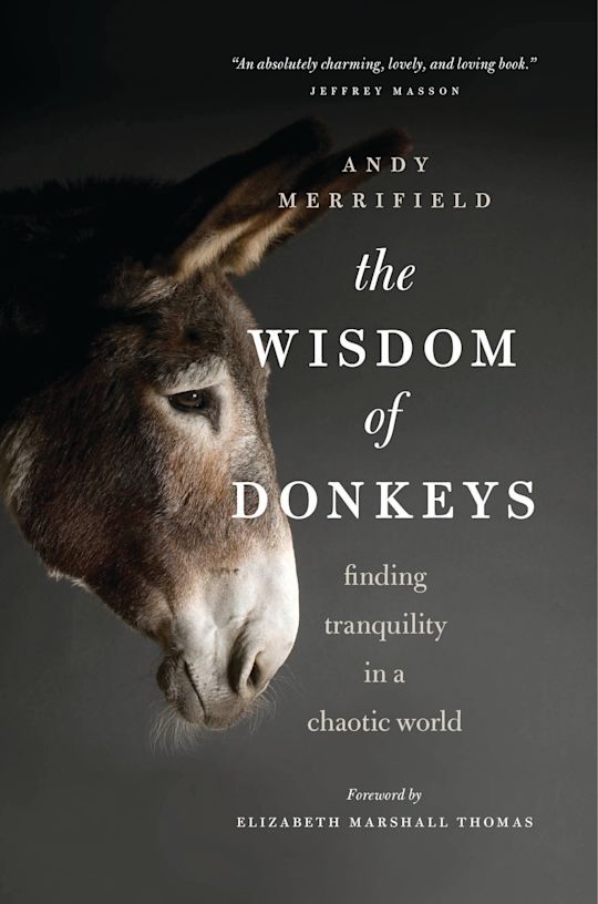 The Wisdom of Donkeys cover