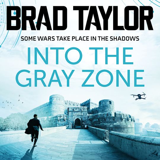 Into the Gray Zone cover