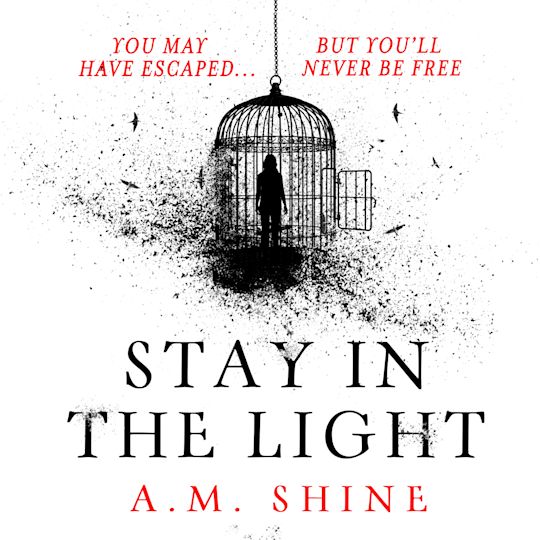 Stay in the Light cover