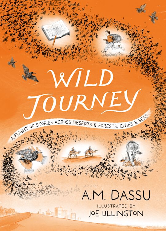 Wild Journey cover