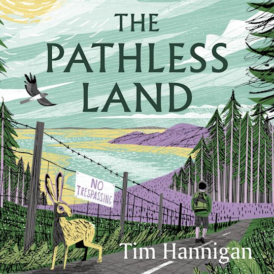 The Pathless Land cover