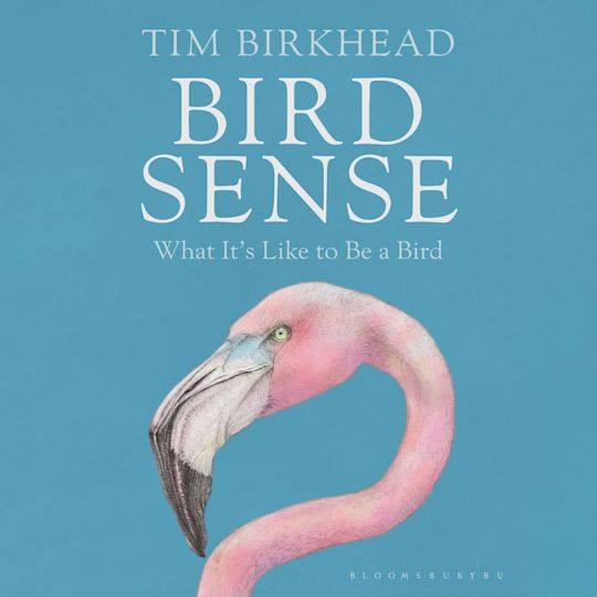 Bird Sense cover
