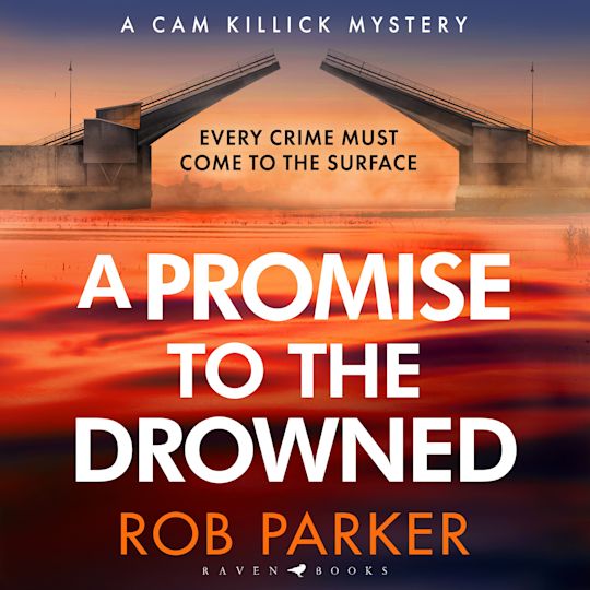 A Promise to the Drowned cover
