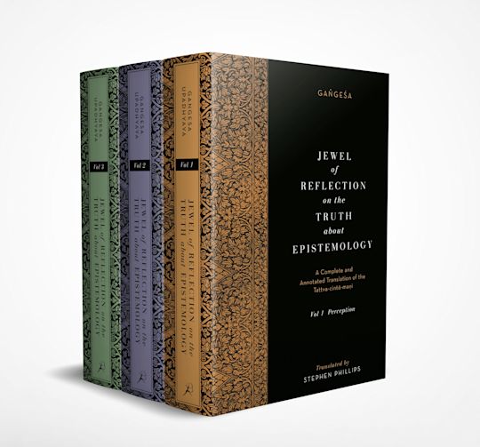 Jewel of Reflection on the Truth about Epistemology cover